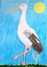 Gracíková Timea.jpg